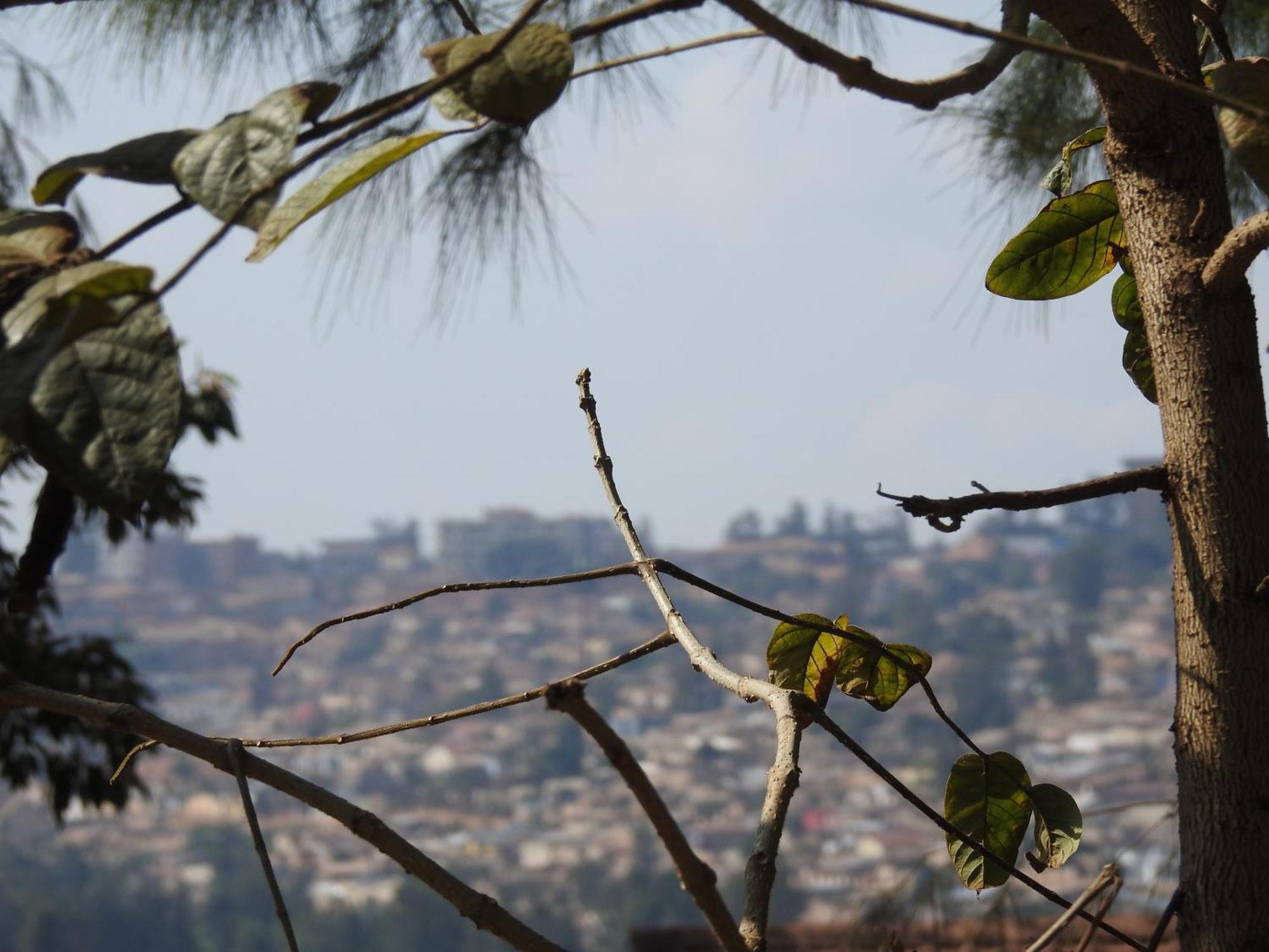 Rwandeka Apartment Kigali Bagian luar foto